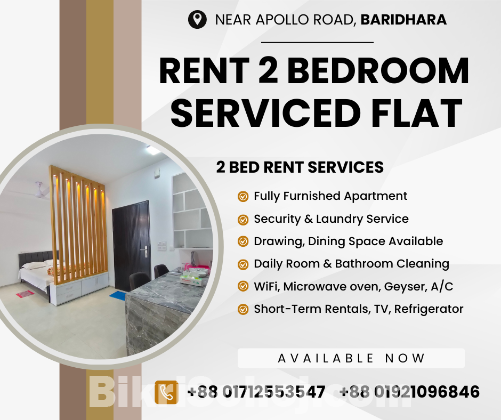 Furnished 2 Bedroom Studio Apartment RENT In Baridhara.